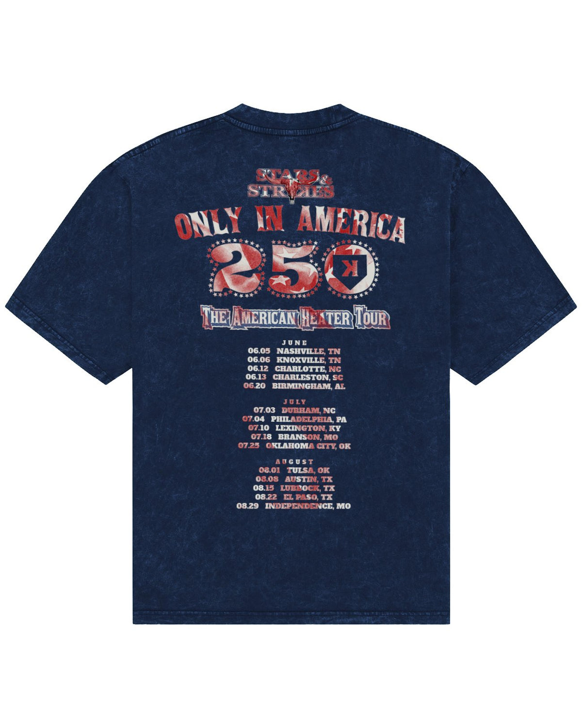 American Heater Tour Washed Tee - Back - Pitchers Only